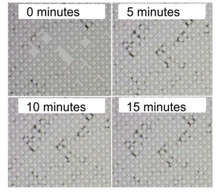 Wyniki prac badawczych - zdjęcie nr 4