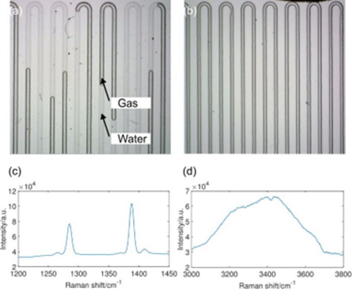 Wyniki prac badawczych - zdjęcie nr 1