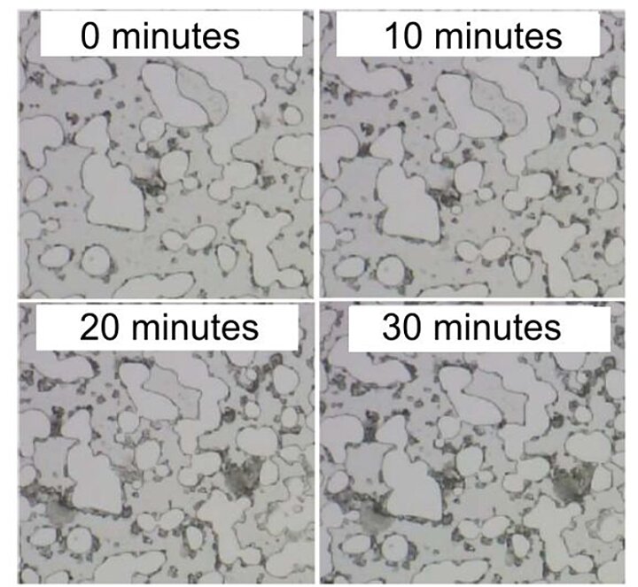 Wyniki prac badawczych - zdjęcie nr 5